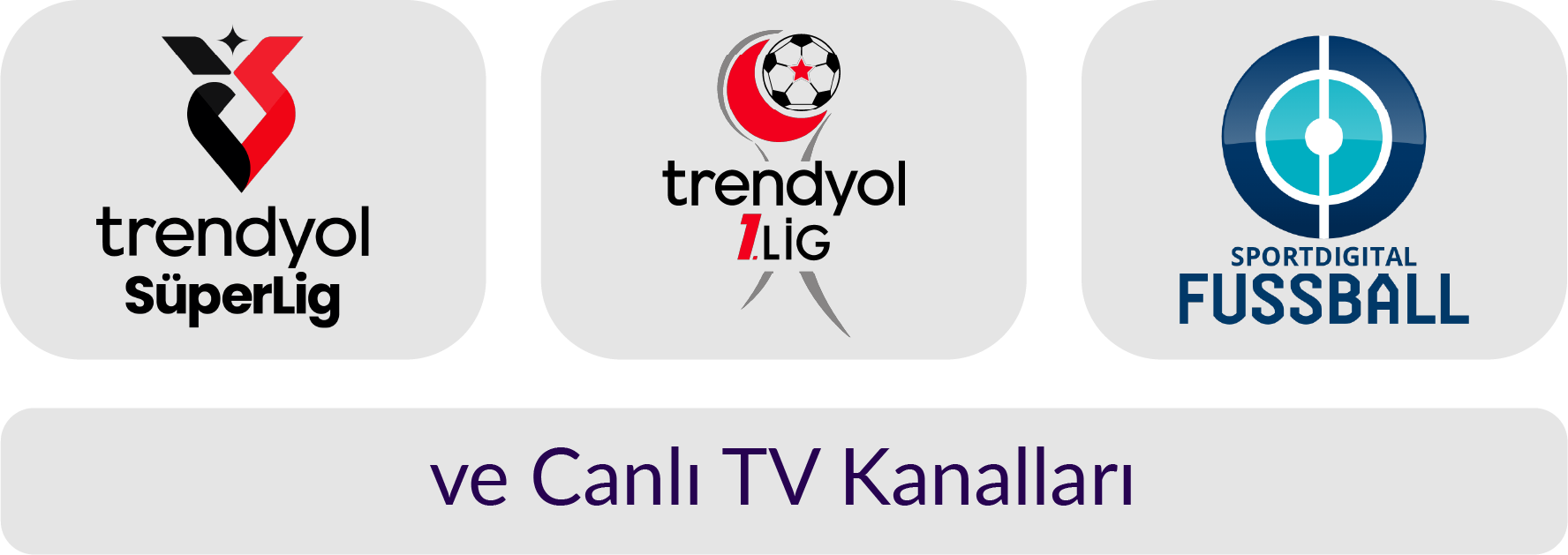 Digitürk şifre nasıl girilir beIN Sport, Lig TV ve Digitürk Play