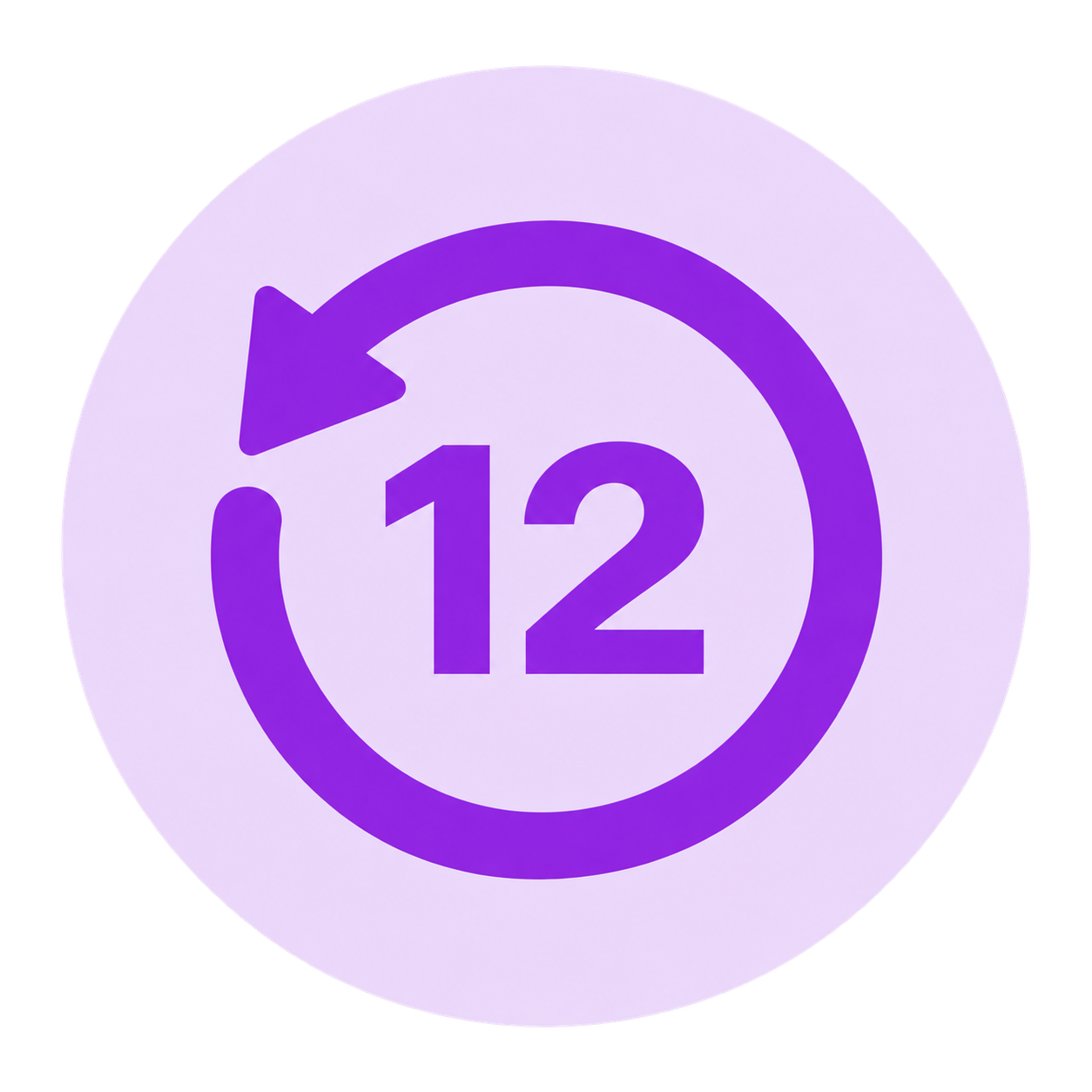 12 Saat Geri Al